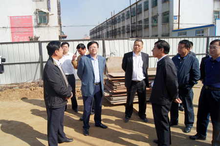 海城市委书记王潜视察西柳国贸项目施工现场(图二)